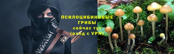 дживик Новозыбков
