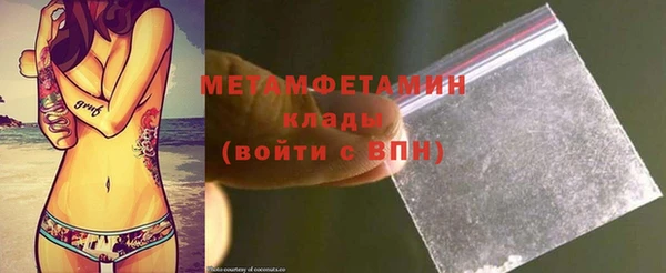прущие грибы Новодвинск