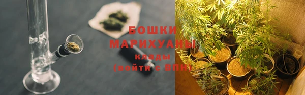 дживик Новозыбков