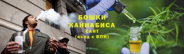 прущие грибы Новодвинск
