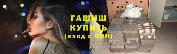 прущие грибы Новодвинск