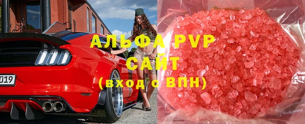 дживик Новозыбков