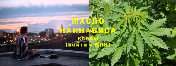 прущие грибы Новодвинск
