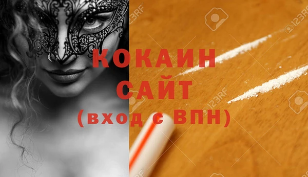 дживик Новозыбков