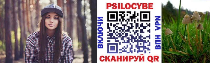 магазин  наркотиков  Игра  это как зайти  Галлюциногенные грибы GOLDEN TEACHER  OMG  